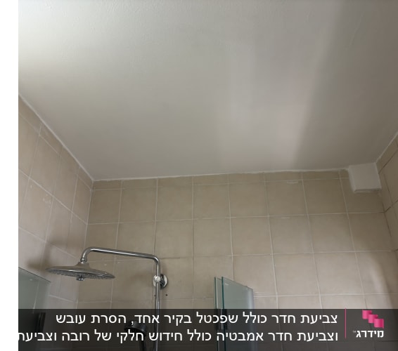 תקרת חדר אמבטיה עם אריחים ומקלחת
